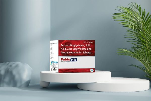 FEBIS-HB BOX