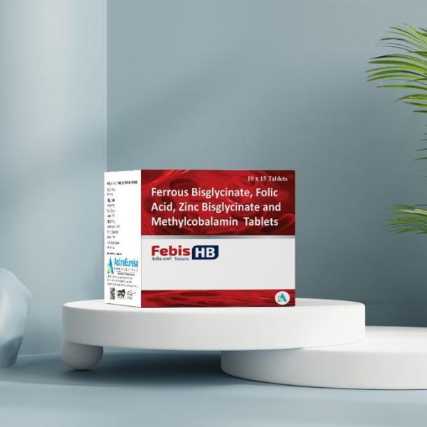 FEBIS-HB BOX