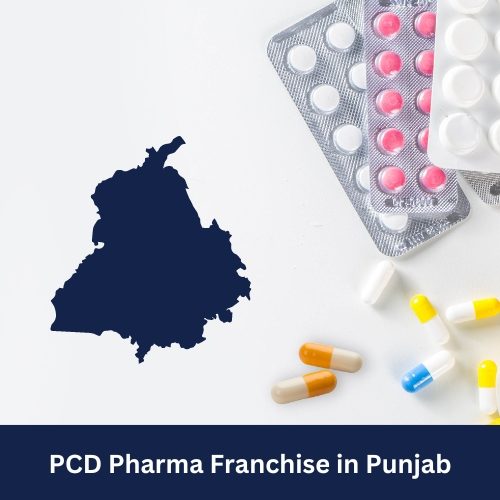 PCD Pharma Franchise in Punjab