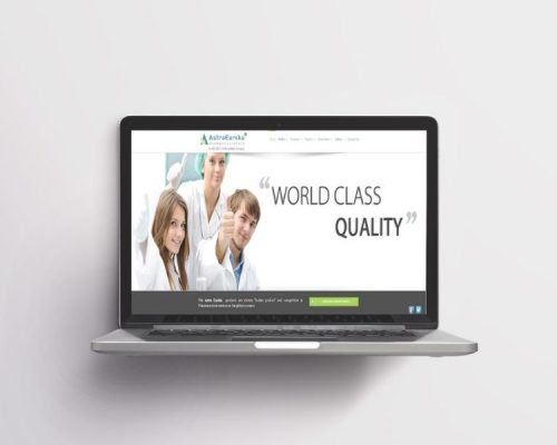 Website Support